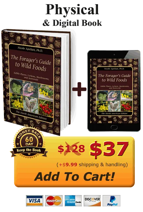 the forager's guide to wild foods pdf