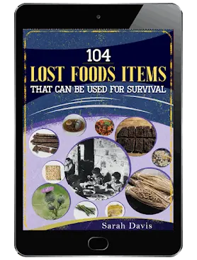 the forager's guide to wild food